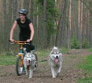 "ladem psich ap..." - Kucoby 2006, fot.Malwina Plichta