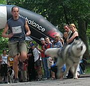 Bieg witojaski z Psem, fot.M.Krzemiska