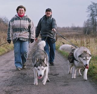 Ala i Piotrek z zaprzgowcami: Snookiem i Szamanem.
